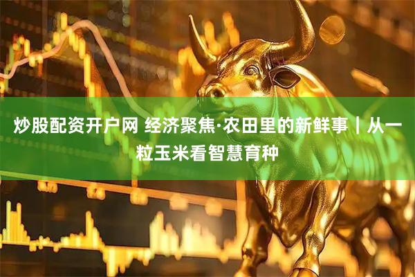 炒股配资开户网 经济聚焦·农田里的新鲜事｜从一粒玉米看智慧育种